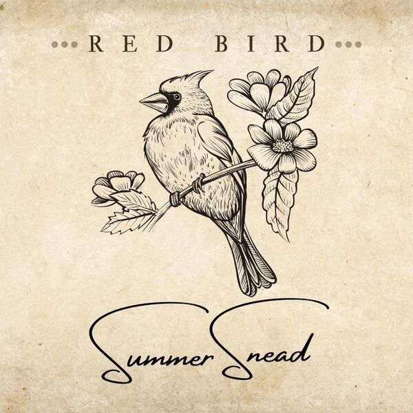 Cover art for Red Bird